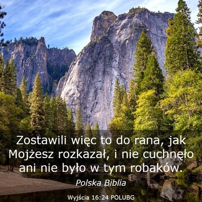 Picture 03 - Wyjścia 16:24 POLUBG - Zostawili więc to do rana, jak Mojżesz - Bible Verse Picture