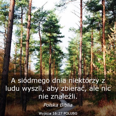 Picture 03 - Wyjścia 16:27 POLUBG - A siódmego dnia niektórzy z ludu wyszli, aby - Bible Verse Picture