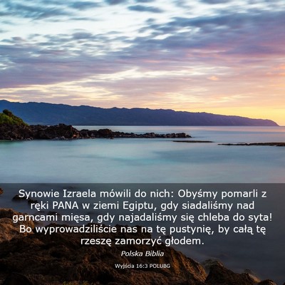 Picture 03 - Wyjścia 16:3 POLUBG - Synowie Izraela mówili do nich: Obyśmy pomarli - Bible Verse Picture