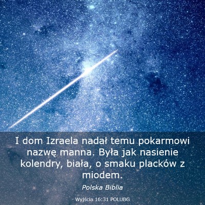 Picture 03 - Wyjścia 16:31 POLUBG - I dom Izraela nadał temu pokarmowi nazwę manna. - Bible Verse Picture
