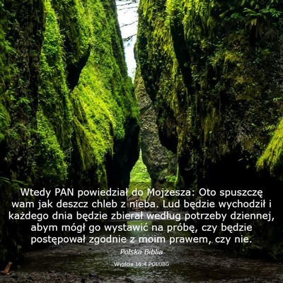 Picture 03 - Wyjścia 16:4 POLUBG - Wtedy PAN powiedział do Mojżesza: Oto spuszczę - Bible Verse Picture