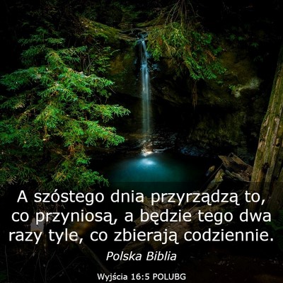 Picture 03 - Wyjścia 16:5 POLUBG - A szóstego dnia przyrządzą to, co przyniosą, - Bible Verse Picture