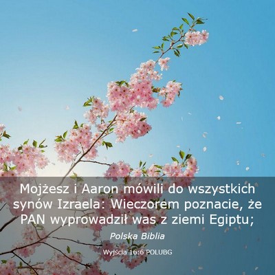 Picture 03 - Wyjścia 16:6 POLUBG - Mojżesz i Aaron mówili do wszystkich synów - Bible Verse Picture