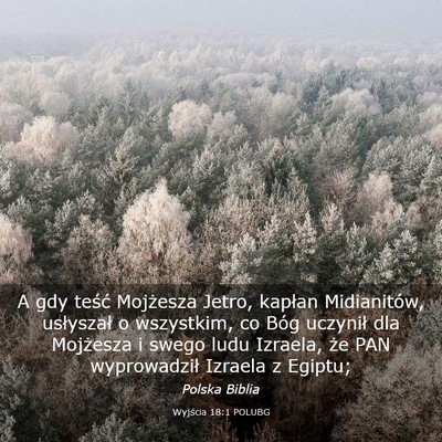 Picture 03 - Wyjścia 18:1 POLUBG - A gdy teść Mojżesza Jetro, kapłan - Bible Verse Picture