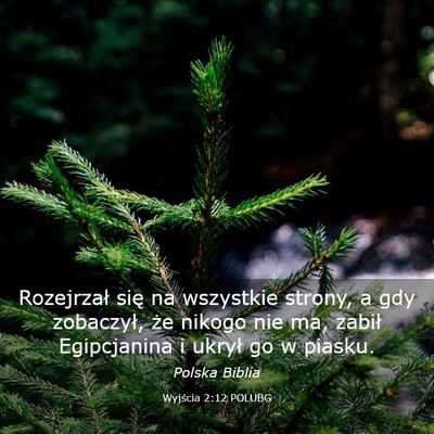 Picture 03 - Wyjścia 2:12 POLUBG - Rozejrzał się na wszystkie strony, a gdy - Bible Verse Picture