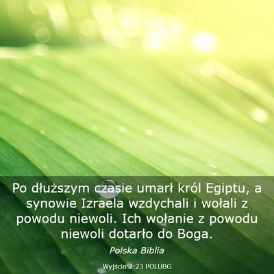 Picture 03 - Wyjścia 2:23 POLUBG - Po dłuższym czasie umarł król Egiptu, a - Bible Verse Picture