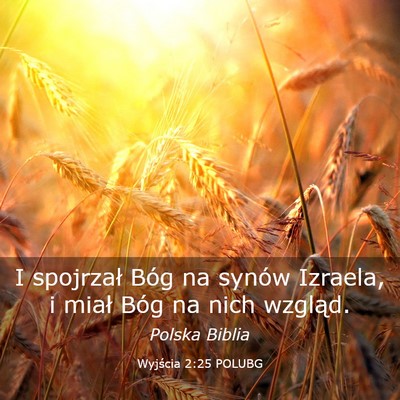 Picture 03 - Wyjścia 2:25 POLUBG - I spojrzał Bóg na synów Izraela, i miał Bóg - Bible Verse Picture