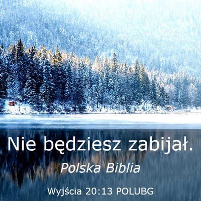 Picture 03 - Wyjścia 20:13 POLUBG - Nie będziesz - Bible Verse Picture