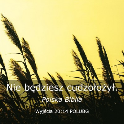 Picture 03 - Wyjścia 20:14 POLUBG - Nie będziesz - Bible Verse Picture