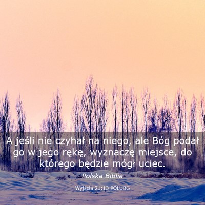 Picture 03 - Wyjścia 21:13 POLUBG - A jeśli nie czyhał na niego, ale Bóg podał go - Bible Verse Picture