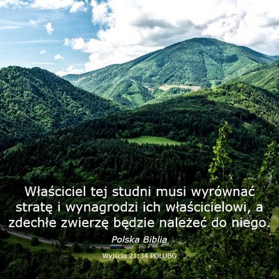 Picture 03 - Wyjścia 21:34 POLUBG - Właściciel tej studni musi wyrównać stratę i - Bible Verse Picture