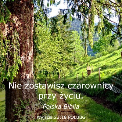 Picture 03 - Wyjścia 22:18 POLUBG - Nie zostawisz czarownicy przy - Bible Verse Picture
