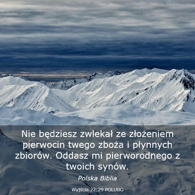 Picture 03 - Wyjścia 22:29 POLUBG - Nie będziesz zwlekał ze złożeniem pierwocin - Bible Verse Picture