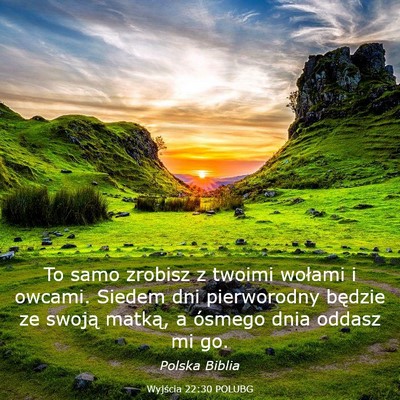 Picture 03 - Wyjścia 22:30 POLUBG - To samo zrobisz z twoimi wołami i owcami. Siedem - Bible Verse Picture