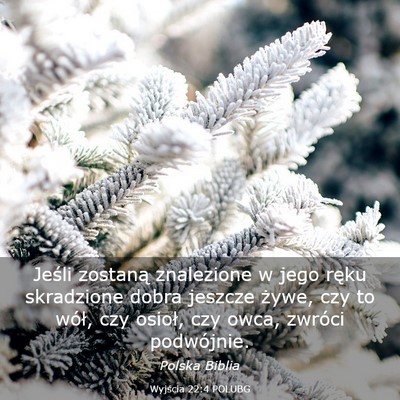 Picture 03 - Wyjścia 22:4 POLUBG - Jeśli zostaną znalezione w jego ręku - Bible Verse Picture