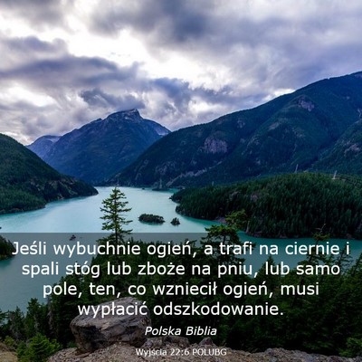 Picture 03 - Wyjścia 22:6 POLUBG - Jeśli wybuchnie ogień, a trafi na ciernie i - Bible Verse Picture