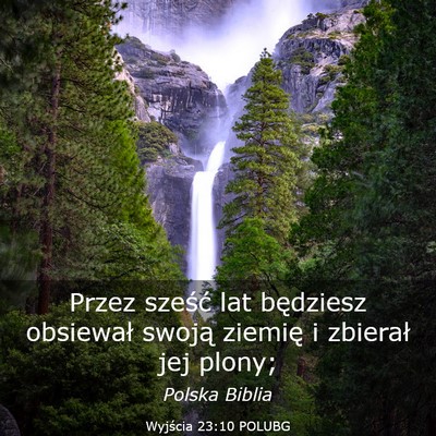 Picture 03 - Wyjścia 23:10 POLUBG - Przez sześć lat będziesz obsiewał swoją - Bible Verse Picture