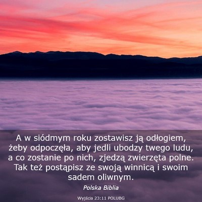 Picture 03 - Wyjścia 23:11 POLUBG - A w siódmym roku zostawisz ją odłogiem, żeby - Bible Verse Picture