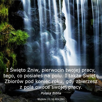 Picture 03 - Wyjścia 23:16 POLUBG - I Święto Żniw, pierwocin twojej pracy, tego, - Bible Verse Picture