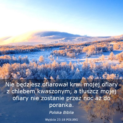 Picture 03 - Wyjścia 23:18 POLUBG - Nie będziesz ofiarował krwi mojej ofiary z - Bible Verse Picture