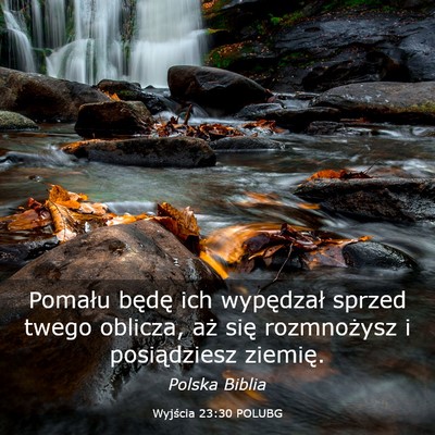 Picture 03 - Wyjścia 23:30 POLUBG - Pomału będę ich wypędzał sprzed twego - Bible Verse Picture