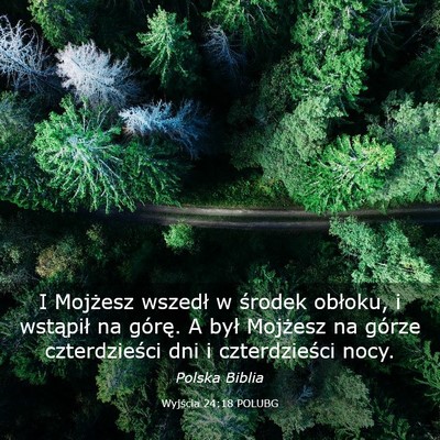 Picture 03 - Wyjścia 24:18 POLUBG - I Mojżesz wszedł w środek obłoku, i wstąpił - Bible Verse Picture