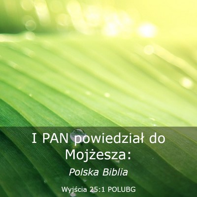 Picture 03 - Wyjścia 25:1 POLUBG - I PAN powiedział do - Bible Verse Picture
