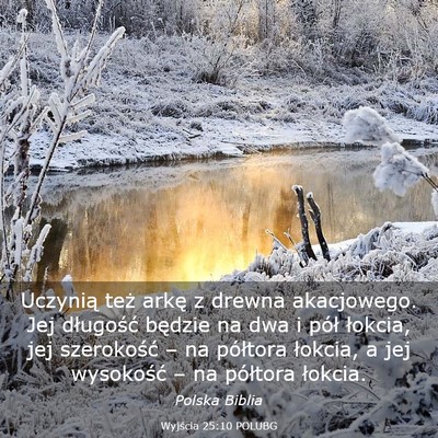 Picture 03 - Wyjścia 25:10 POLUBG - Uczynią też arkę z drewna akacjowego. Jej - Bible Verse Picture