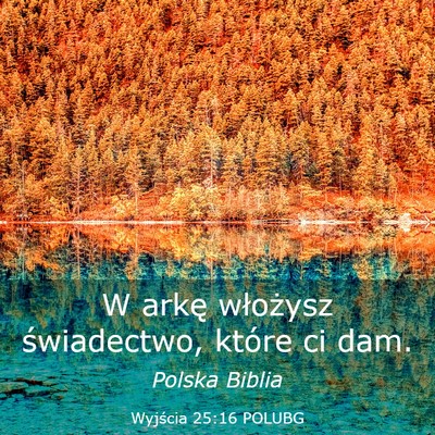 Picture 03 - Wyjścia 25:16 POLUBG - W arkę włożysz świadectwo, które ci - Bible Verse Picture