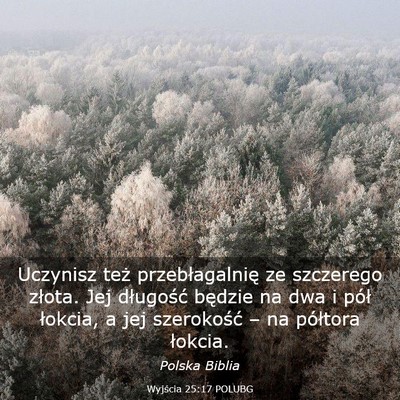 Picture 03 - Wyjścia 25:17 POLUBG - Uczynisz też przebłagalnię ze szczerego - Bible Verse Picture