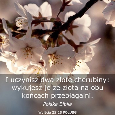 Picture 03 - Wyjścia 25:18 POLUBG - I uczynisz dwa złote cherubiny: wykujesz je ze - Bible Verse Picture