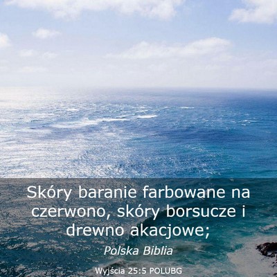 Picture 03 - Wyjścia 25:5 POLUBG - Skóry baranie farbowane na czerwono, skóry - Bible Verse Picture