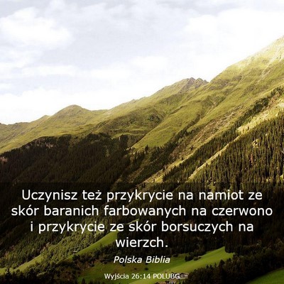 Picture 03 - Wyjścia 26:14 POLUBG - Uczynisz też przykrycie na namiot ze skór - Bible Verse Picture