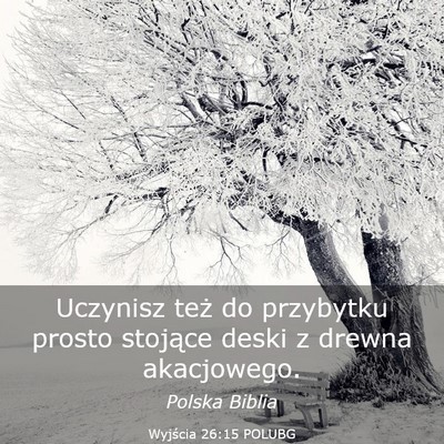 Picture 03 - Wyjścia 26:15 POLUBG - Uczynisz też do przybytku prosto stojące deski - Bible Verse Picture