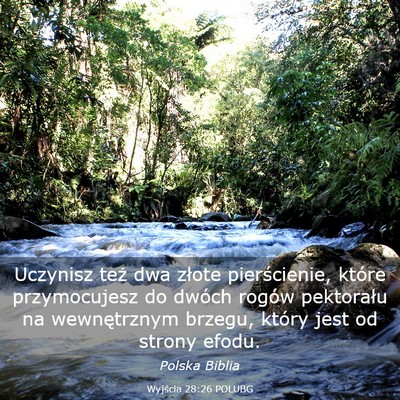 Picture 03 - Wyjścia 28:26 POLUBG - Uczynisz też dwa złote pierścienie, które - Bible Verse Picture