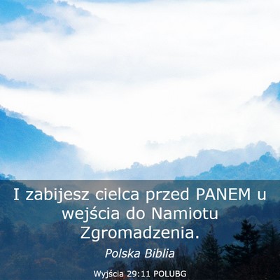 Picture 03 - Wyjścia 29:11 POLUBG - I zabijesz cielca przed PANEM u wejścia do - Bible Verse Picture