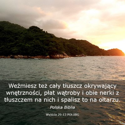 Picture 03 - Wyjścia 29:13 POLUBG - Weźmiesz też cały tłuszcz okrywający - Bible Verse Picture