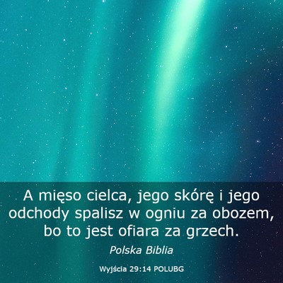 Picture 03 - Wyjścia 29:14 POLUBG - A mięso cielca, jego skórę i jego odchody - Bible Verse Picture