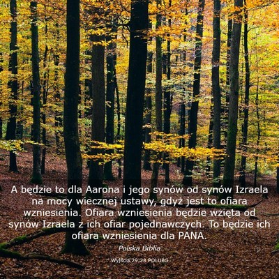 Picture 03 - Wyjścia 29:28 POLUBG - A będzie to dla Aarona i jego synów od synów - Bible Verse Picture