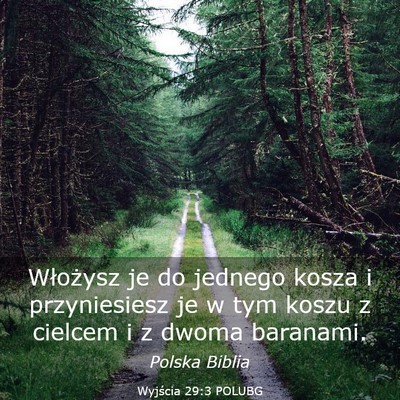 Picture 03 - Wyjścia 29:3 POLUBG - Włożysz je do jednego kosza i przyniesiesz je w - Bible Verse Picture