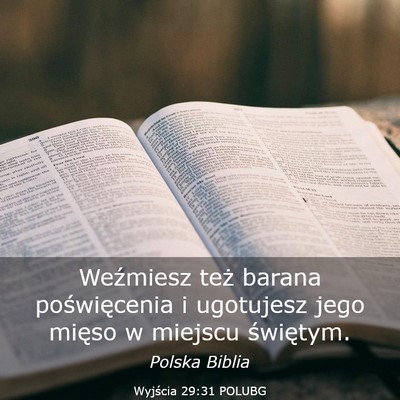 Picture 03 - Wyjścia 29:31 POLUBG - Weźmiesz też barana poświęcenia i ugotujesz - Bible Verse Picture