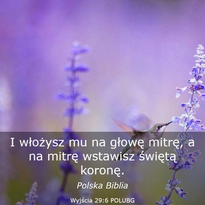 Picture 03 - Wyjścia 29:6 POLUBG - I włożysz mu na głowę mitrę, a na mitrę - Bible Verse Picture
