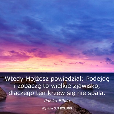 Picture 03 - Wyjścia 3:3 POLUBG - Wtedy Mojżesz powiedział: Podejdę i zobaczę - Bible Verse Picture