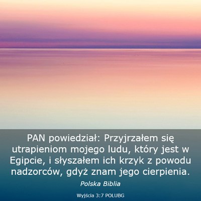 Picture 03 - Wyjścia 3:7 POLUBG - PAN powiedział: Przyjrzałem się utrapieniom - Bible Verse Picture
