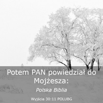 Picture 03 - Wyjścia 30:11 POLUBG - Potem PAN powiedział do - Bible Verse Picture