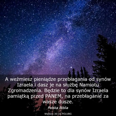 Picture 03 - Wyjścia 30:16 POLUBG - A weźmiesz pieniądze przebłagania od synów - Bible Verse Picture