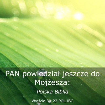 Picture 03 - Wyjścia 30:22 POLUBG - PAN powiedział jeszcze do - Bible Verse Picture