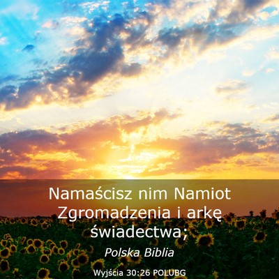 Picture 03 - Wyjścia 30:26 POLUBG - Namaścisz nim Namiot Zgromadzenia i arkę - Bible Verse Picture
