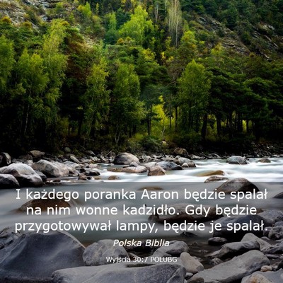 Picture 03 - Wyjścia 30:7 POLUBG - I każdego poranka Aaron będzie spalał na nim - Bible Verse Picture