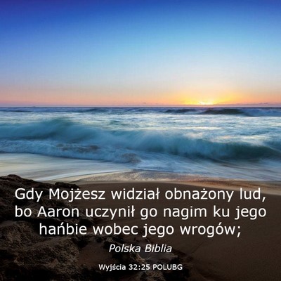 Picture 03 - Wyjścia 32:25 POLUBG - Gdy Mojżesz widział obnażony lud, bo Aaron - Bible Verse Picture